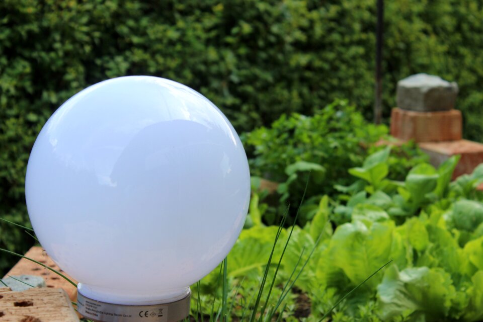 Gardening green light