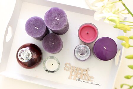 Live plants fragrance lamp