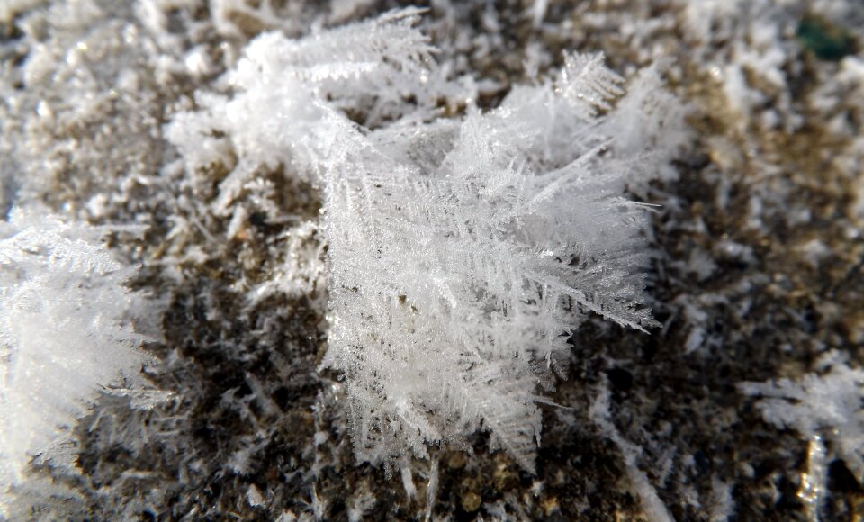 Frozen white winter