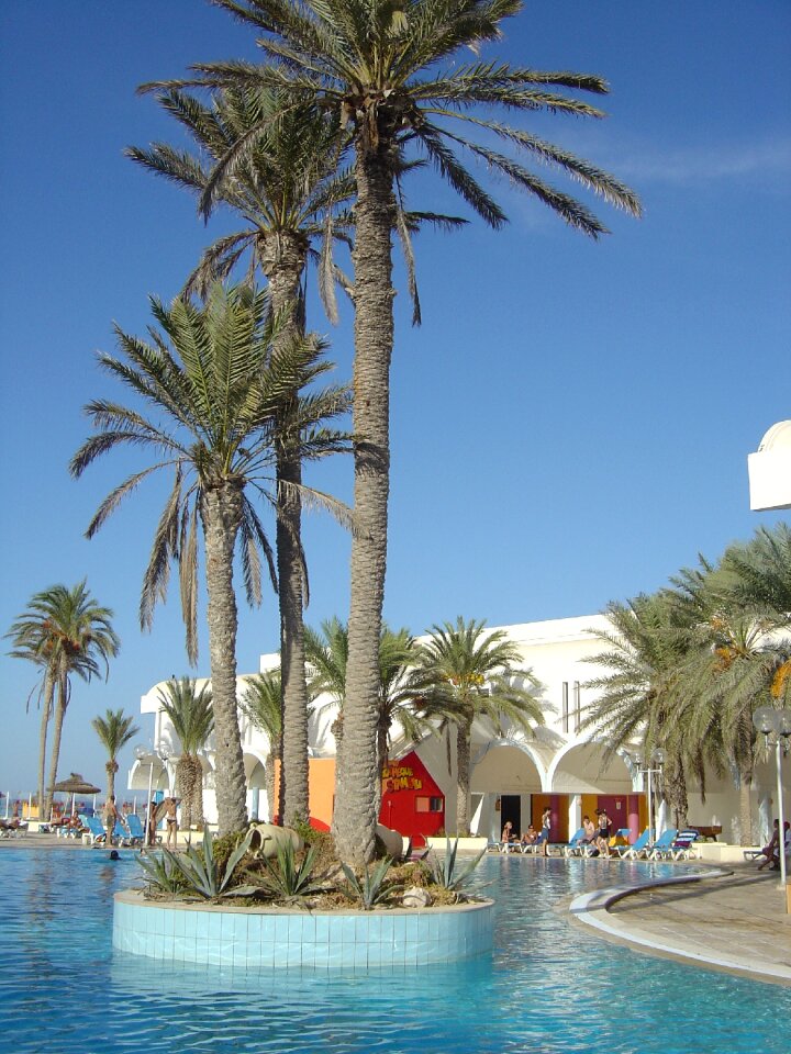 Tunisia hotel palm