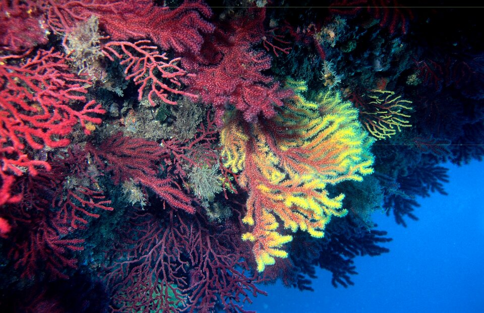 Submarine sea ocean