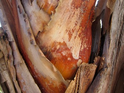 Brown structure into each other