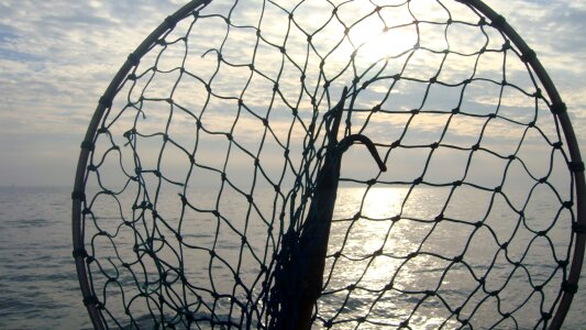 To go fishing sea landing net photo
