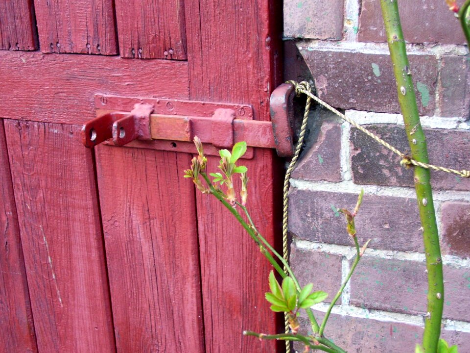 Bar closed mystery