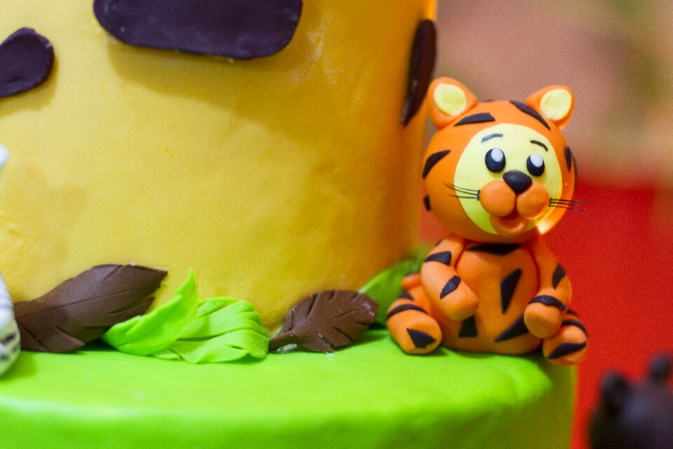 Birthday zoo birthday child