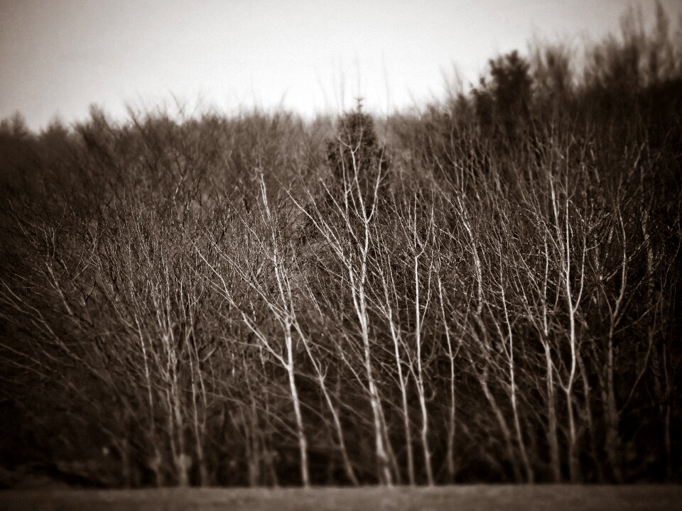 Landscape gloomy weird