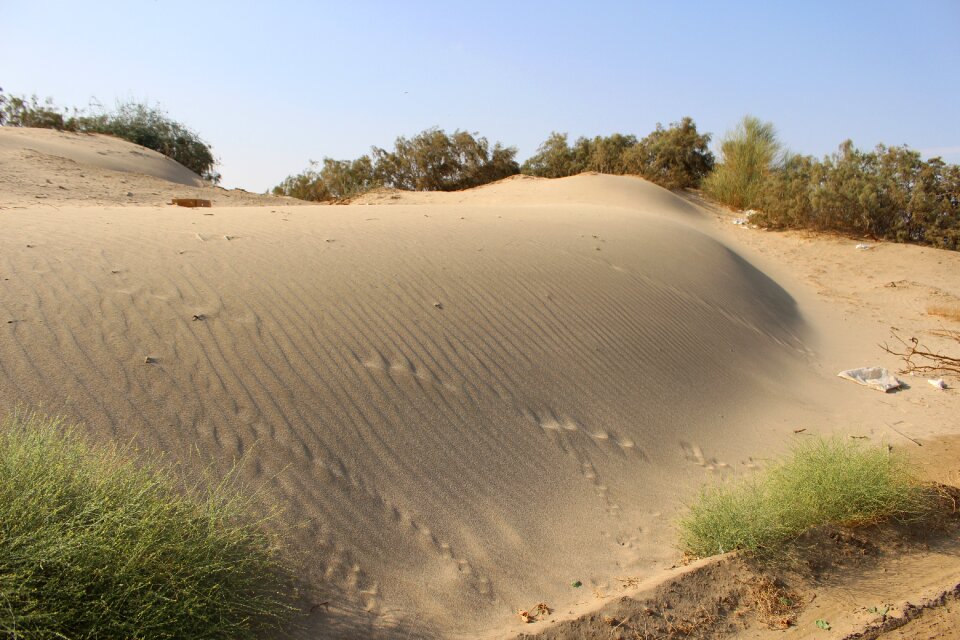 Nature saudi arabia