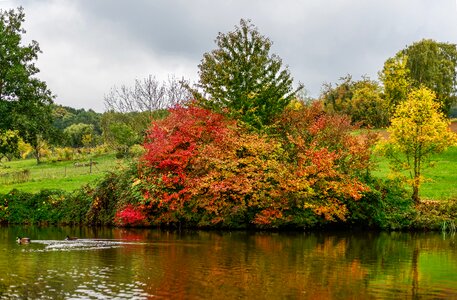 Pond autumn landscape