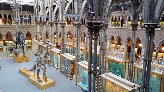 Oxford natural history city history