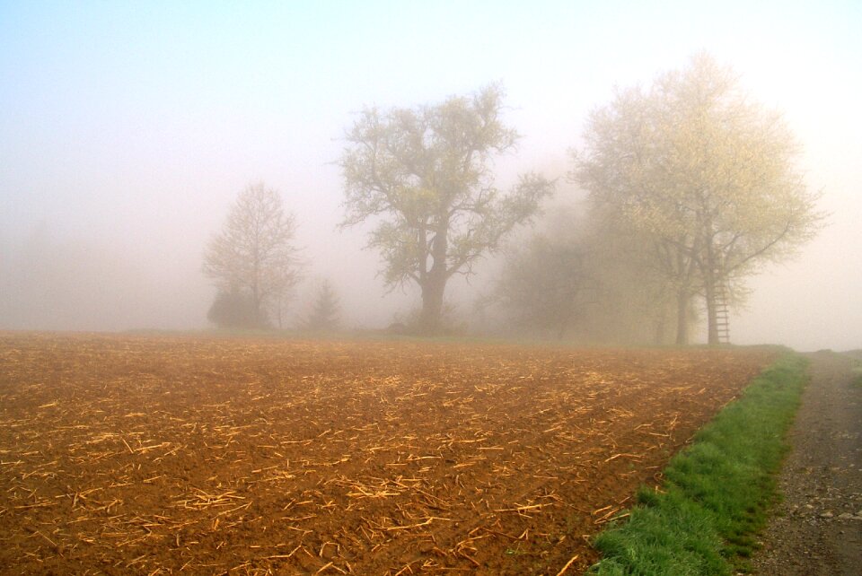 Fog landscape mood