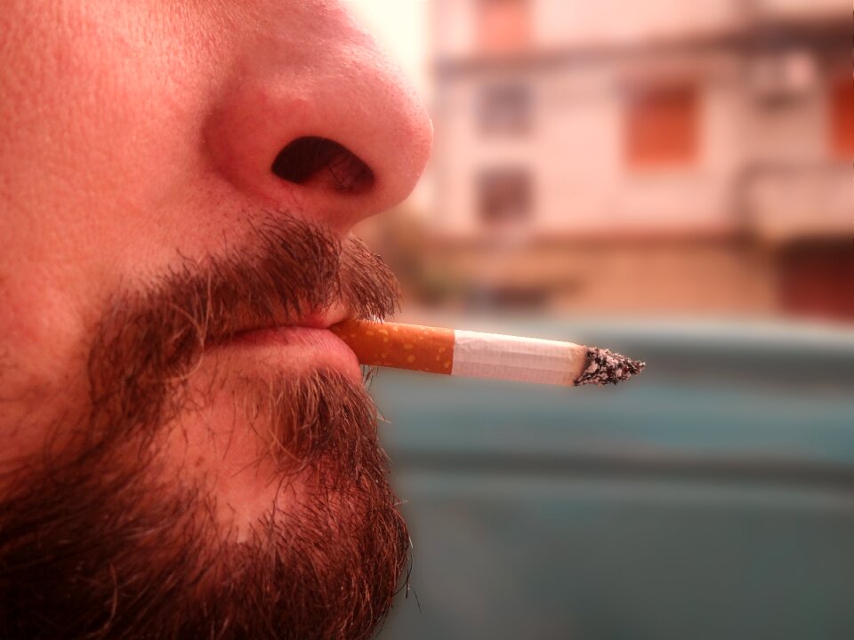 Health mouth free image