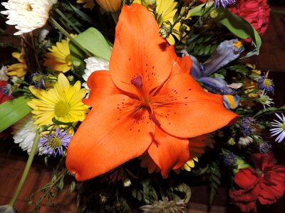 Flowers nature love