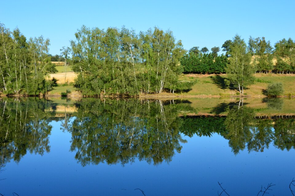 Aveyron reflections trees