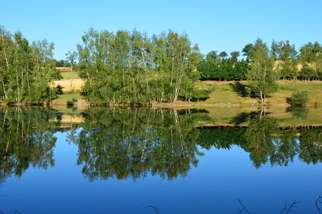 Aveyron reflections trees