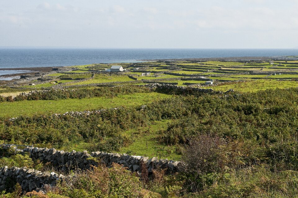 Stone wall aran islands beach
