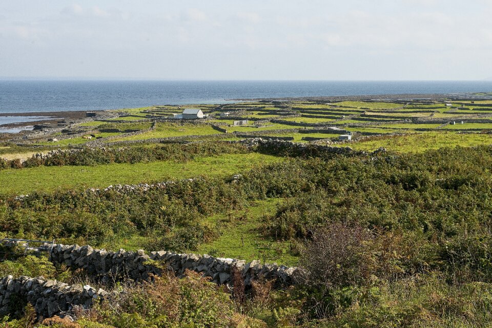 Stone wall aran islands beach photo