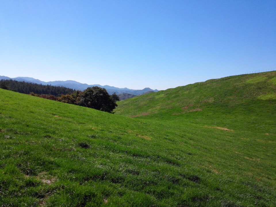 Landscape scenery grass
