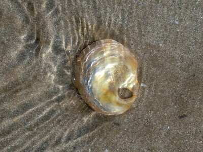 Beach sea water
