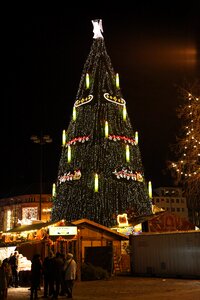 Christmas tree Free photos