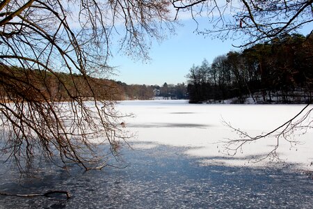 Snow trees water