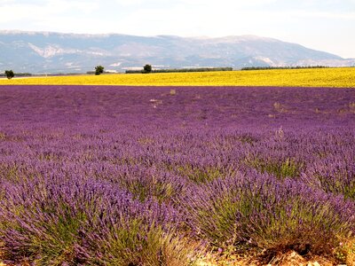 Landscape nature panorama
