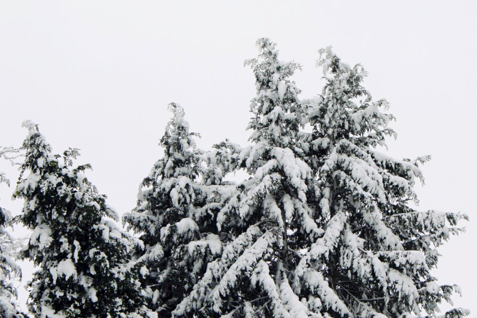 Icy winter snow flurry