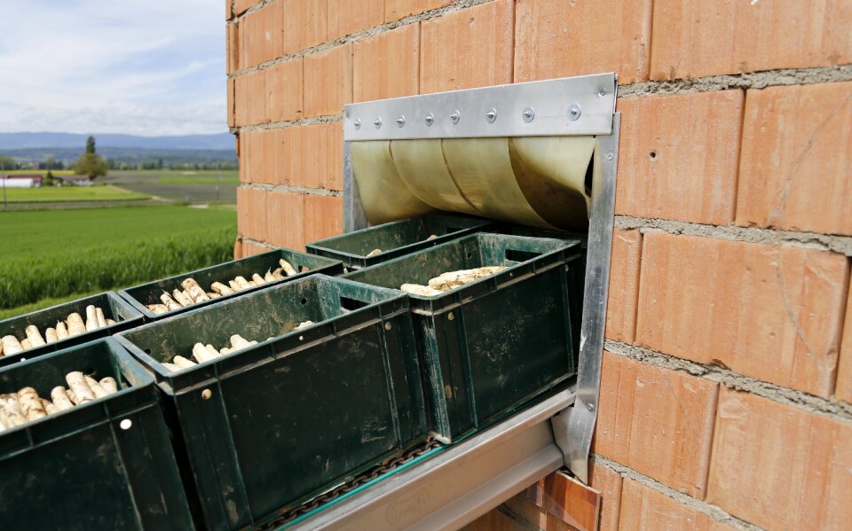 Processing food switzerland