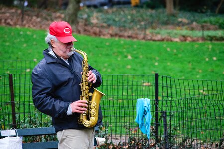 Nature music saxophone photo