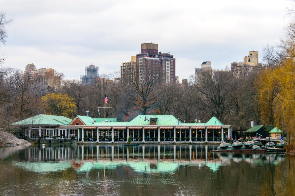 Newyork fall autumn