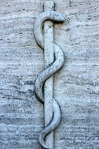 Snake äskulapstab asclepius staff