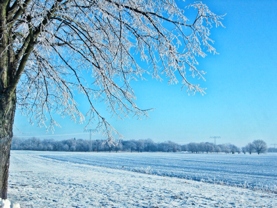 Snow brandenburg landscape