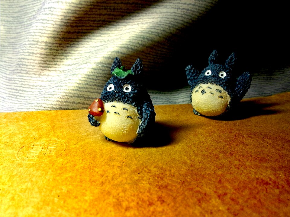 Toys pocket chinchillas