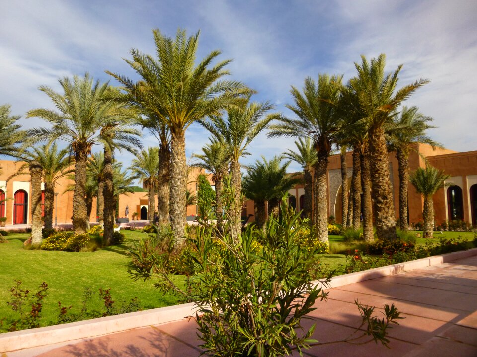 Marrackech morocco exotic