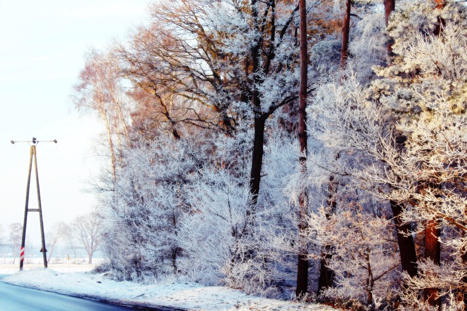 Winter landscape snow photo