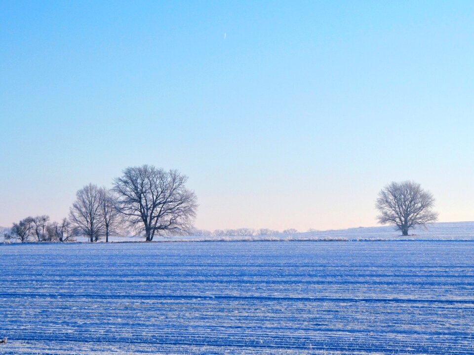 Snow brandenburg landscape