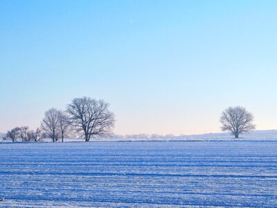 Snow brandenburg landscape photo