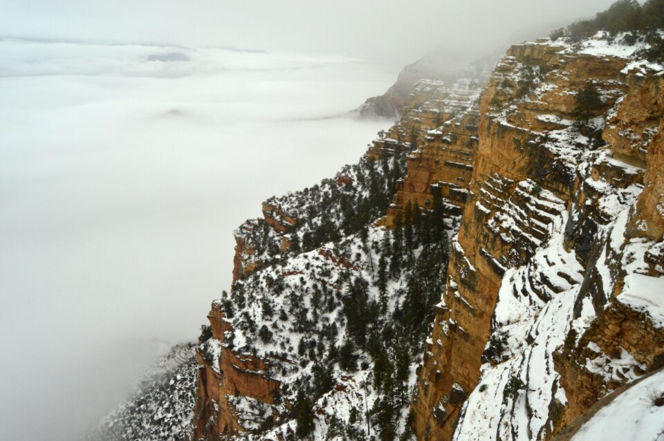 Fog nature misty
