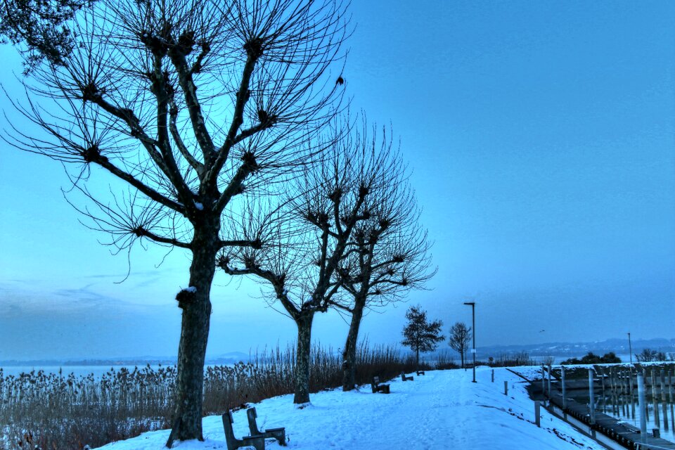 Port cold nature evening