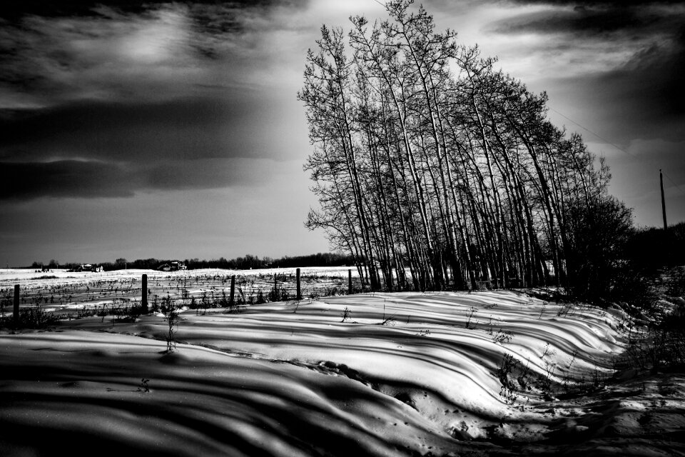 Wind wind-blown outdoor