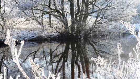 Winter river frost photo