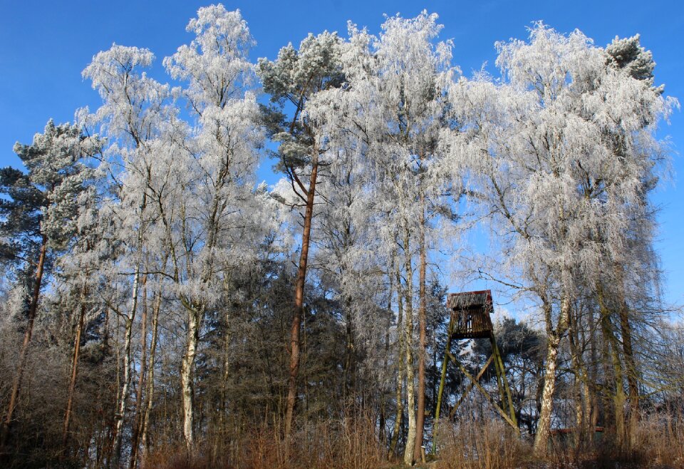 Treetop treehouse wintertime