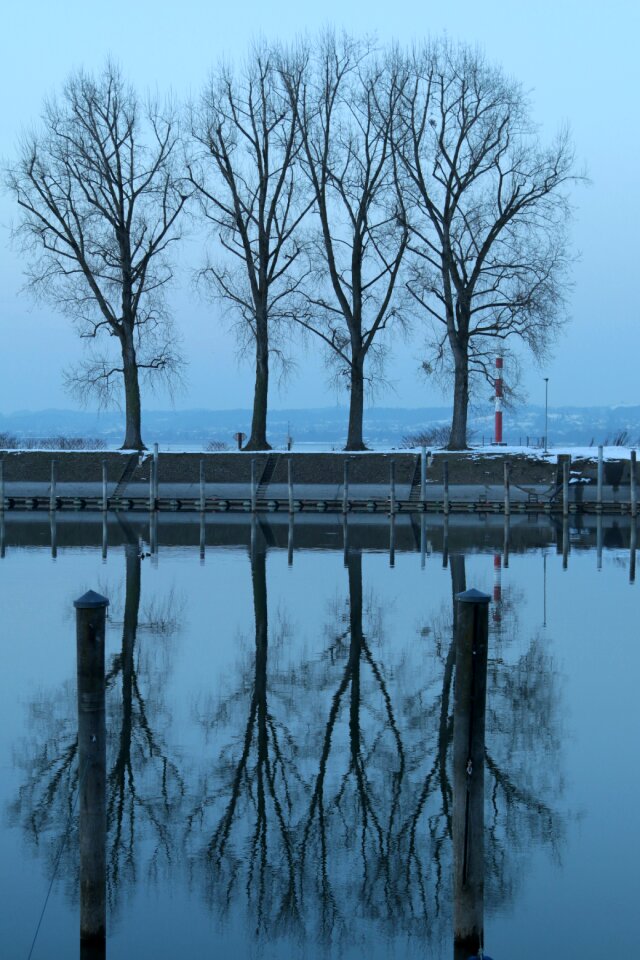 Port cold nature evening