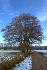 Landscape road tree photo