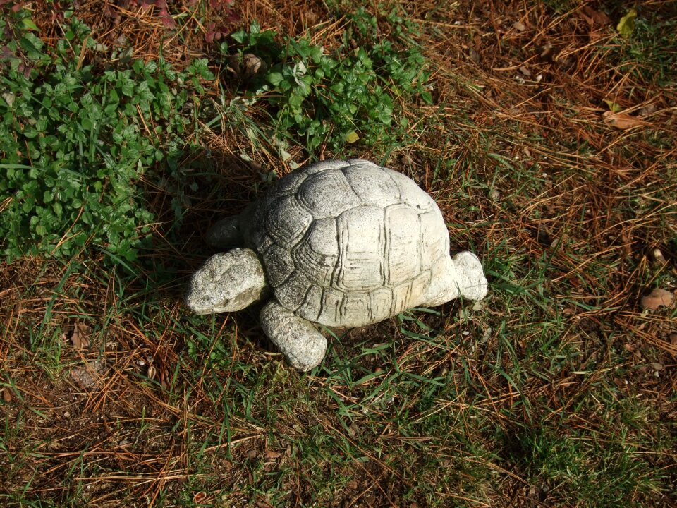Turtle statue garden decoration