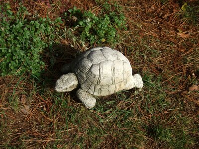 Turtle statue garden decoration