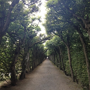 Gloomy hermitage trist