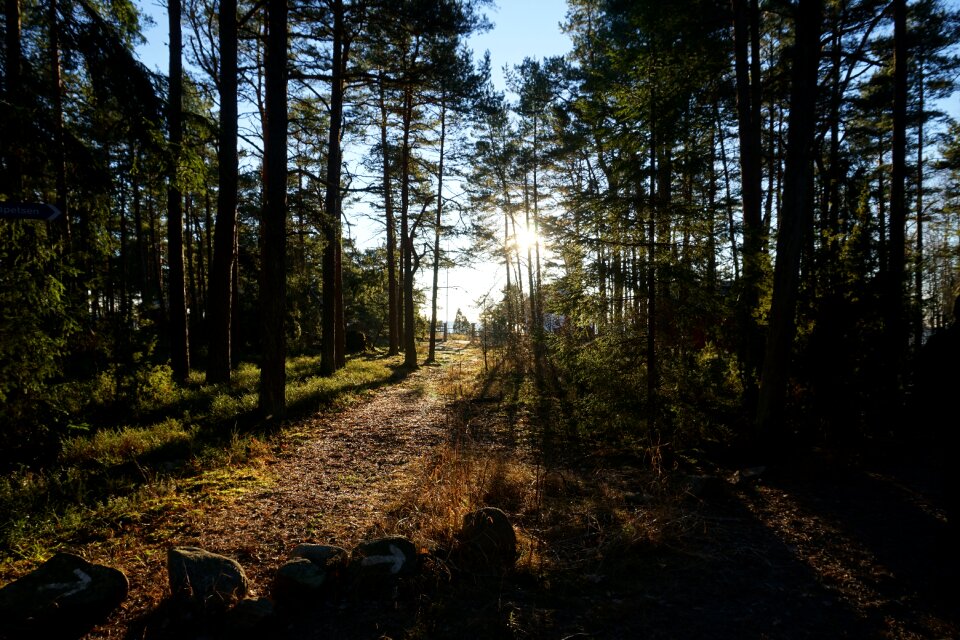Nature light solar