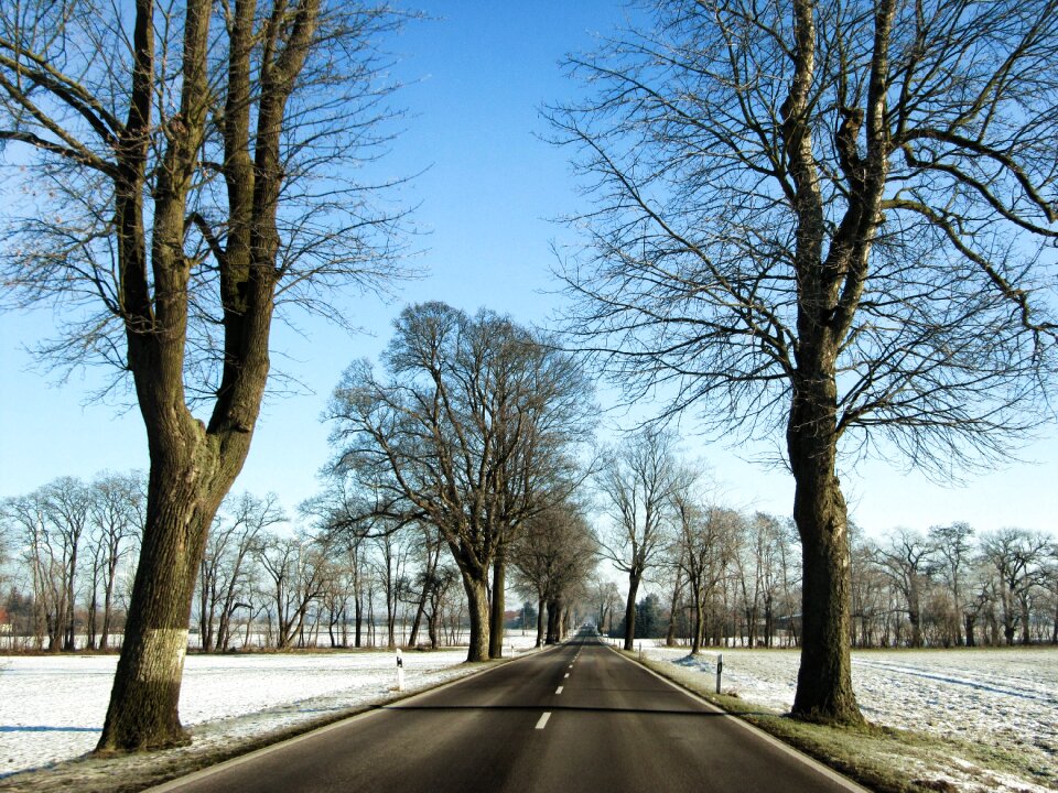 Brandenburg landscape snow