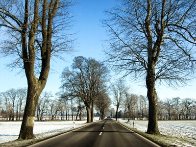 Brandenburg landscape snow