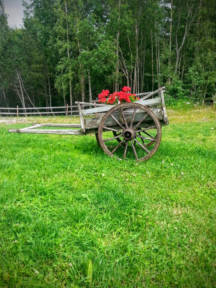 Cartwheel old bike
